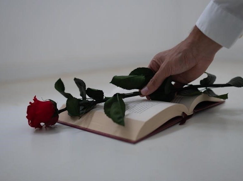 romantic love novels pdf