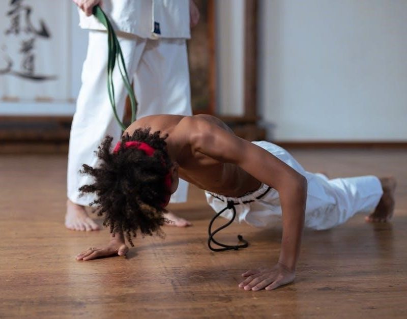 neopets training guide