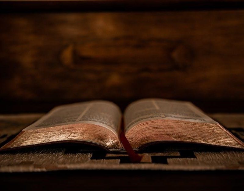 book of acts bible study guide
